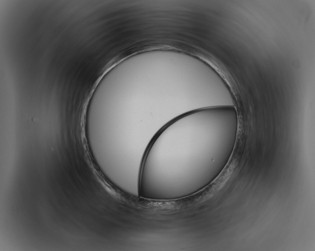 X0000087040858200705160929