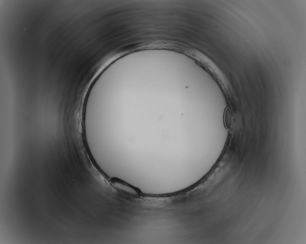 X0000087040860200705160929