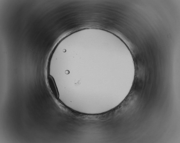 X0000087040861200705160929