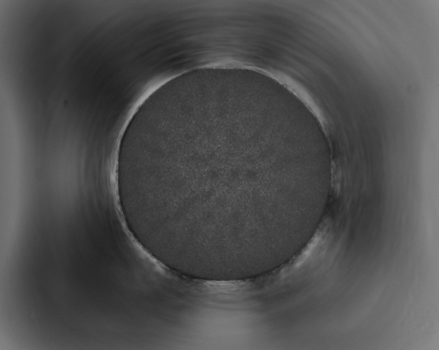 X0000087040863200705160929
