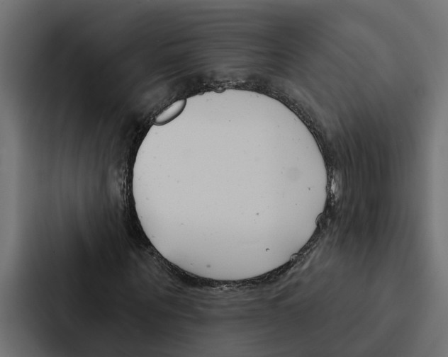 X0000087040867200705160928