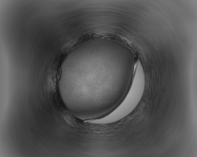 X0000087040868200705160928