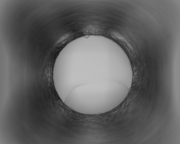 X0000087040870200705160928