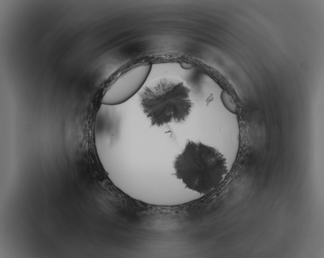 X0000087040871200705160928