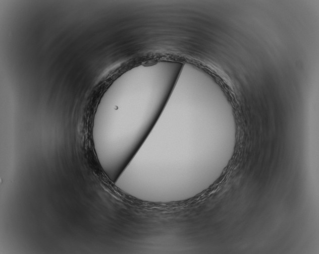 X0000087040872200705160928