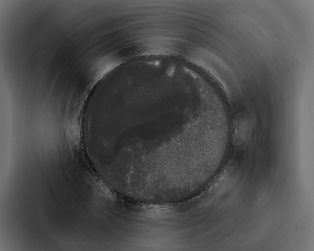 X0000087040874200705160928