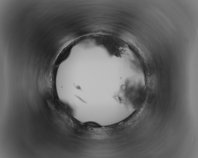 X0000087040875200705160928