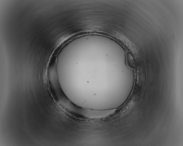 X0000087040876200705160928