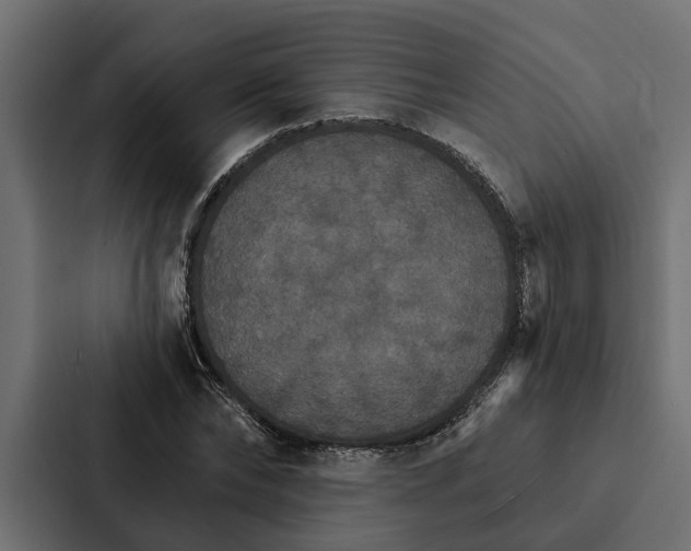 X0000087040878200705160928