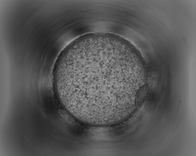 X0000087040879200705160928