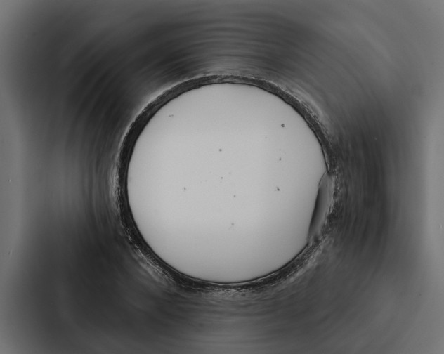 X0000087040880200705160928