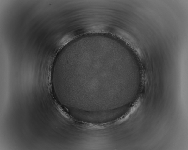 X0000087040881200705160928