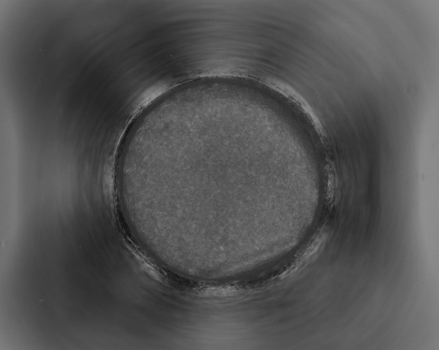 X0000087040882200705160928