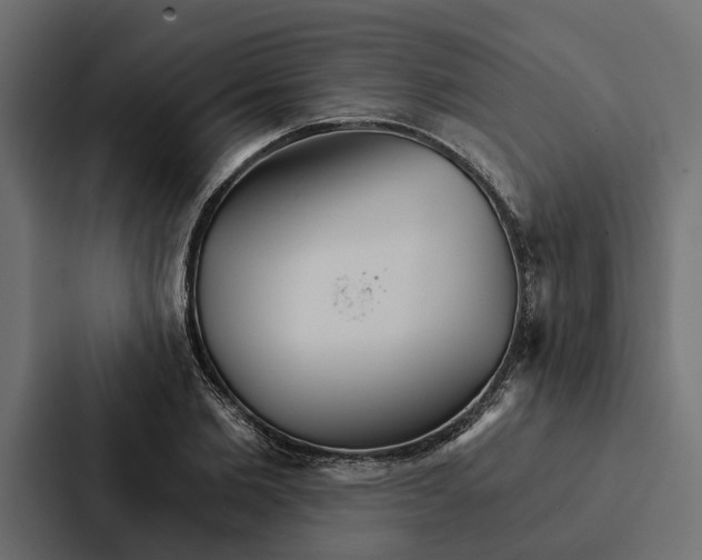 X0000087040885200705160928
