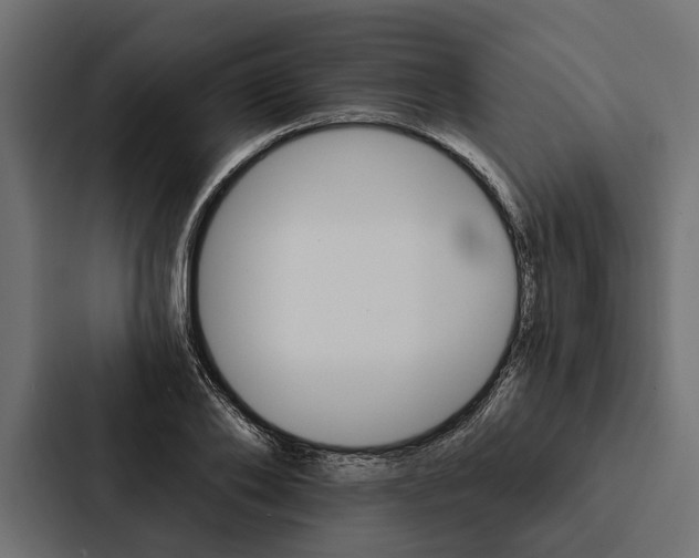 X0000087040886200705160928