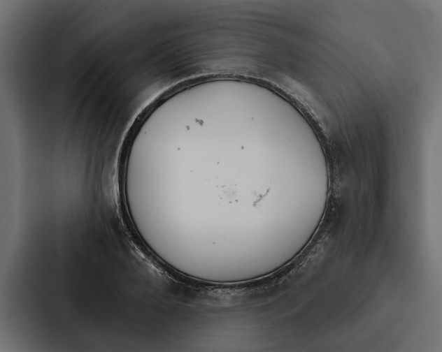 X0000087040888200705160928