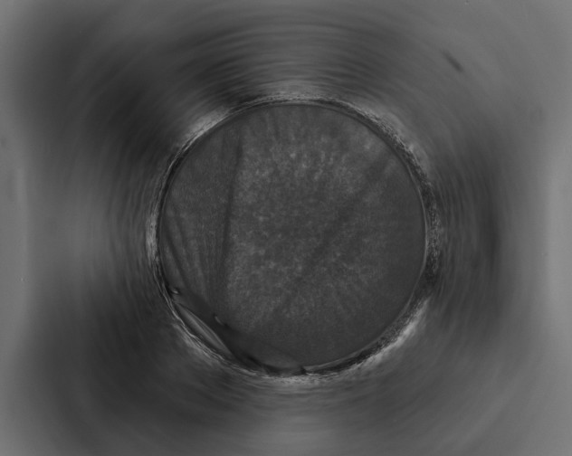 X0000087040889200705160928
