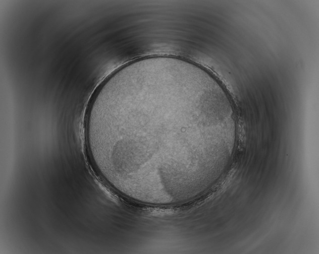 X0000087040890200705160928