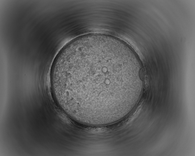 X0000087040891200705160928