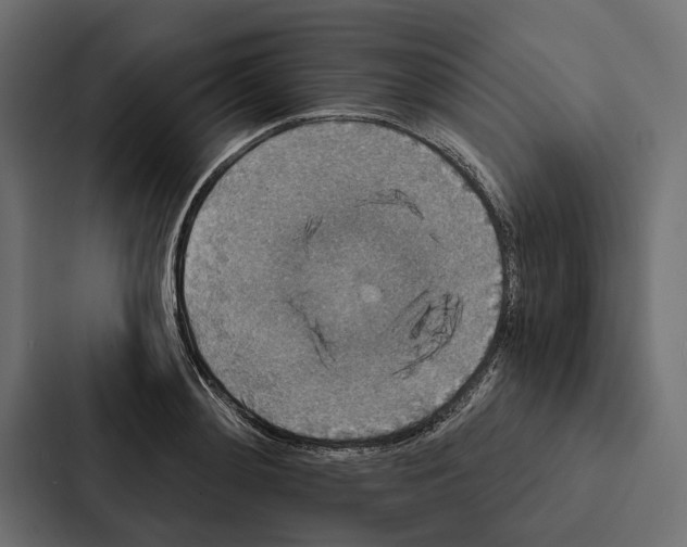X0000087040892200705160928