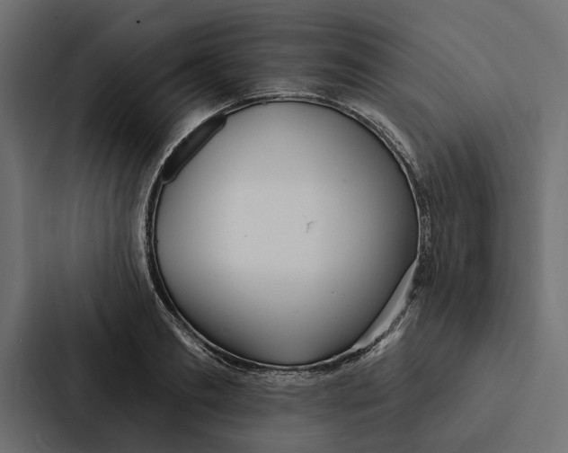 X0000087040893200705160928