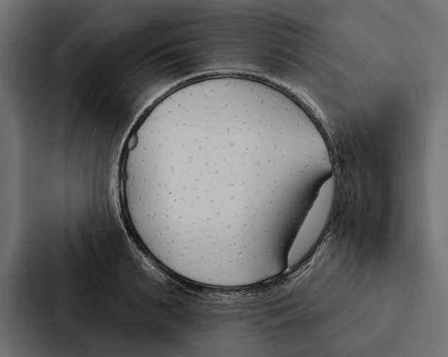 X0000087040895200705160928