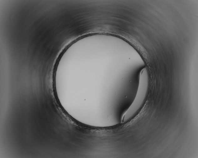 X0000087040896200705160928