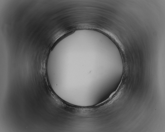 X0000087040897200705160928