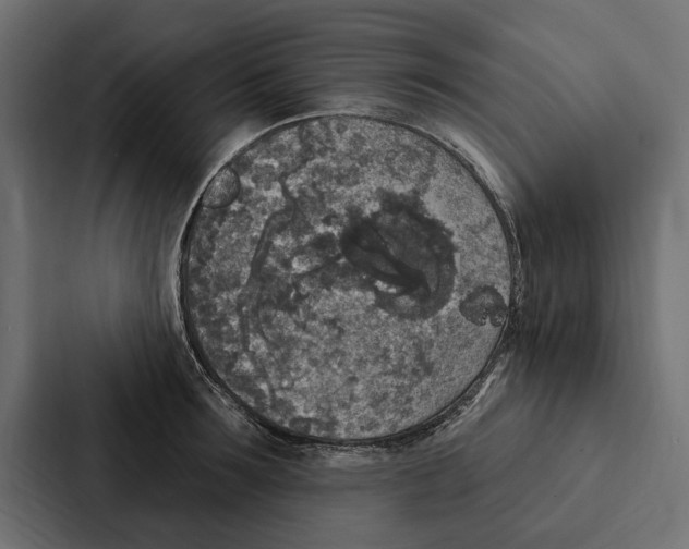 X0000087040899200705160928