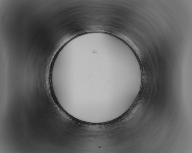X0000087040901200705160928