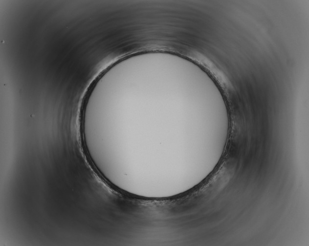 X0000087040902200705160928