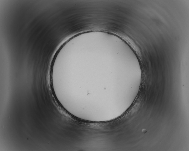 X0000087040904200705160928