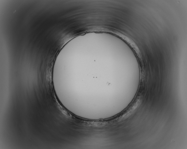 X0000087040905200705160928