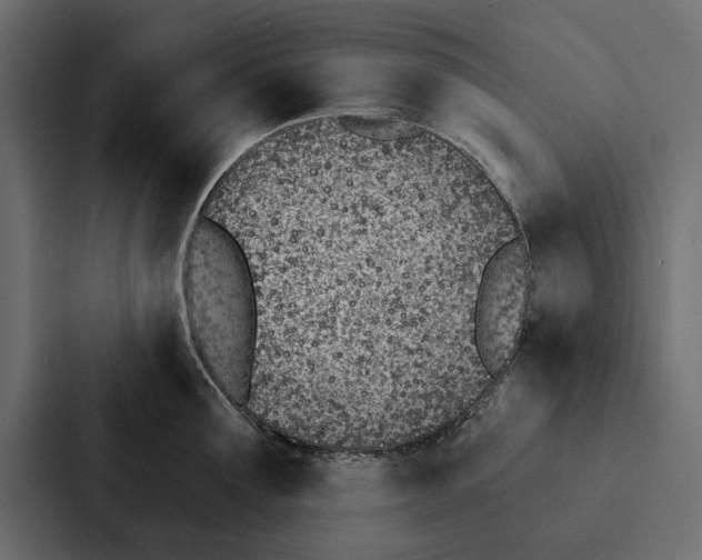 X0000087040907200705160928
