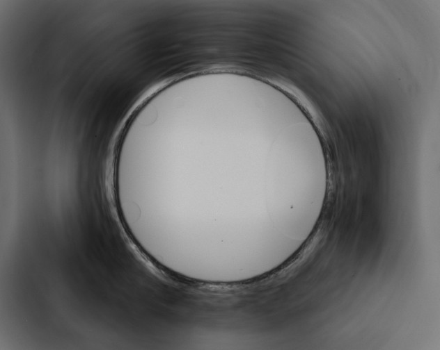 X0000087040910200705160928
