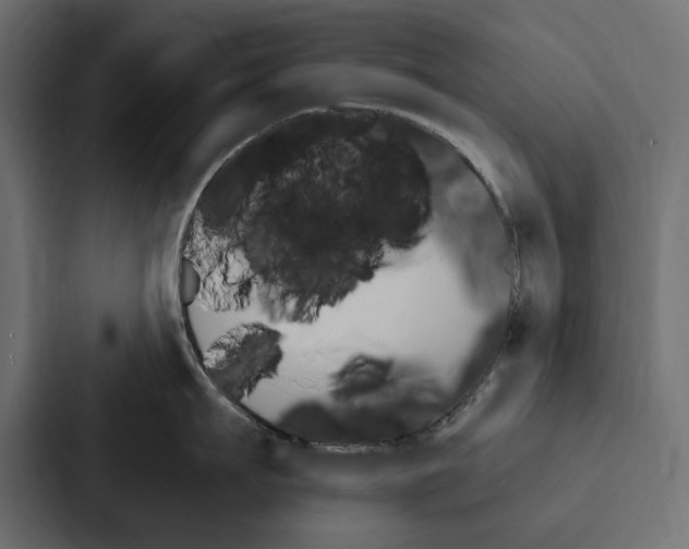 X0000087040911200705160928