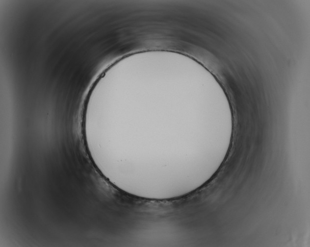 X0000087040912200705160928