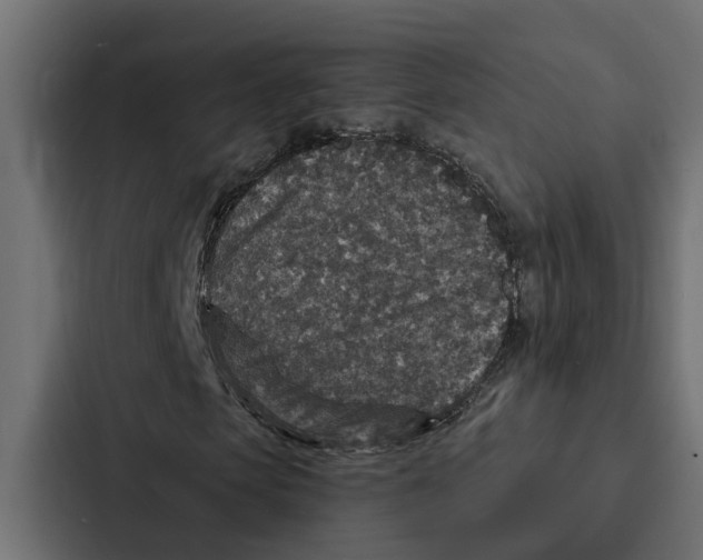 X0000087040913200705160925