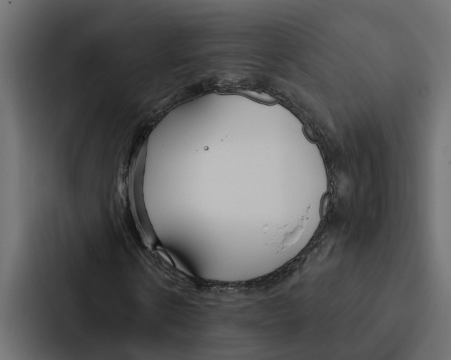 X0000087040914200705160925
