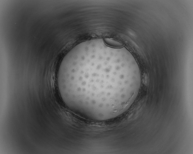 X0000087040915200705160925