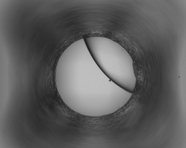 X0000087040916200705160925