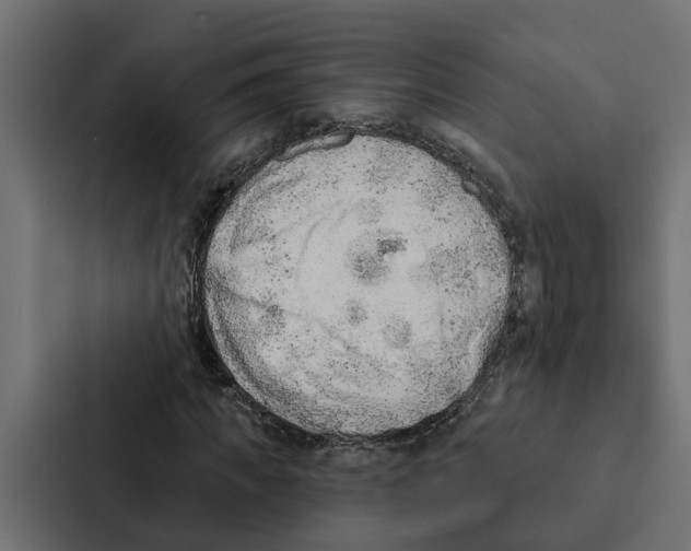 X0000087040917200705160925