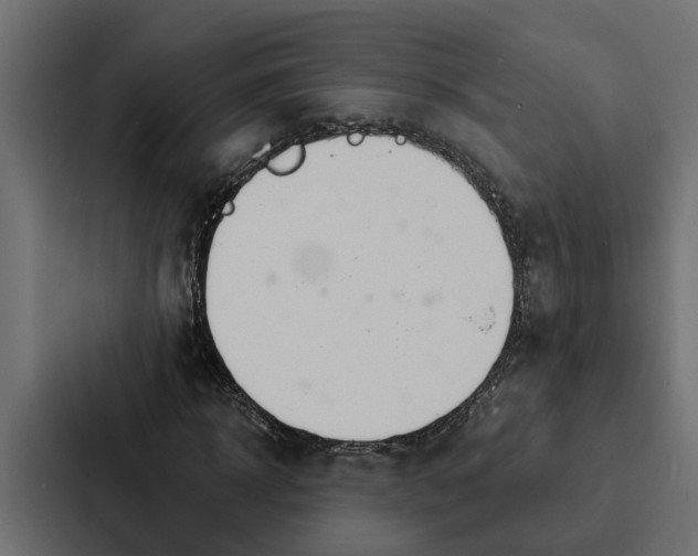 X0000087040918200705160925
