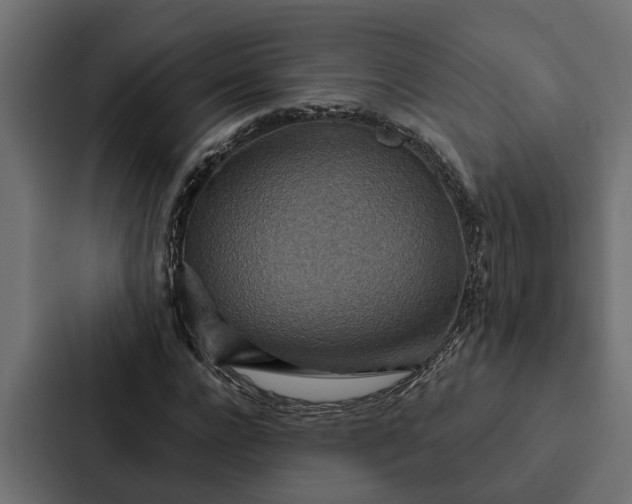 X0000087040920200705160925