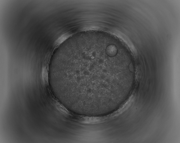 X0000087040921200705160925