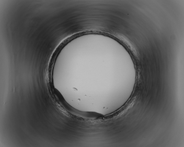 X0000087040924200705160925