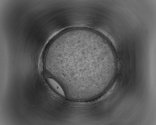 X0000087040925200705160925