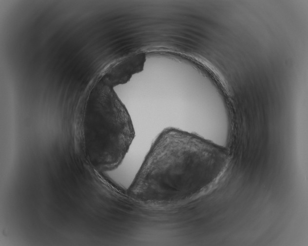 X0000087040929200705160925