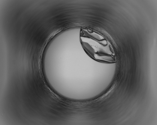 X0000087040930200705160925