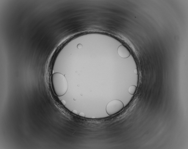 X0000087040931200705160925